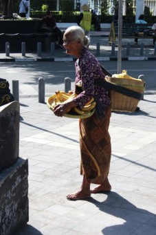 si kuning yang selalu menemani