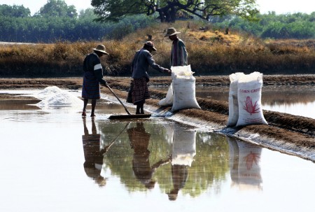salt farmers