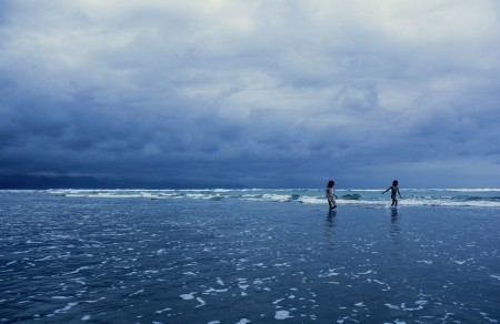 Looking for shells