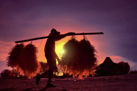 HINGGA SENJA MENJEMPUTKU