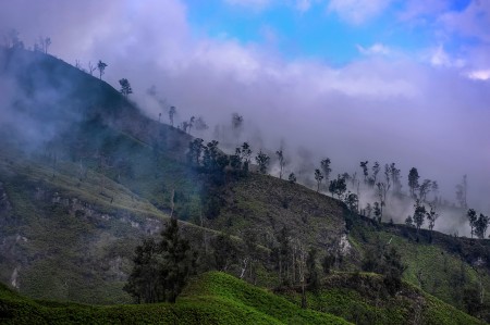 Indonesiaku