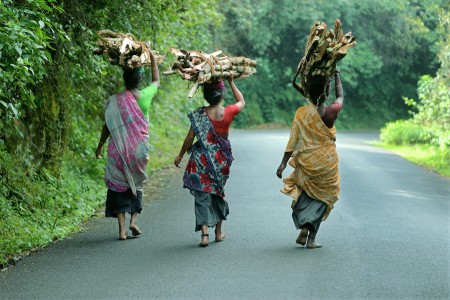 Firelog carriers_P.Karunakaran