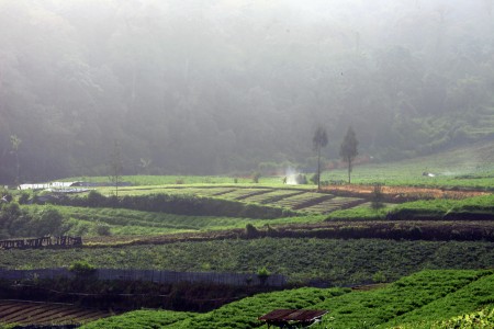 Suasana Pagi