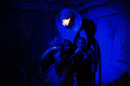 King Cobra