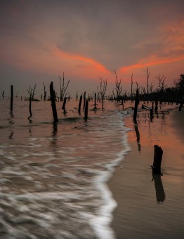 Leading,Kg batu laut,selangor