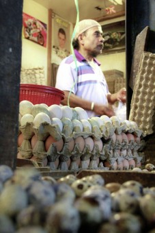 Penjual Telur