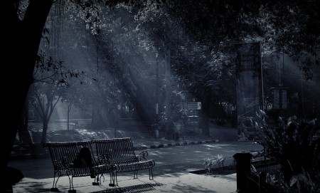 The morning light