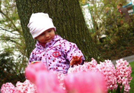 The Pink of Spring