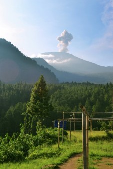 Morning, Ash Mountain !
