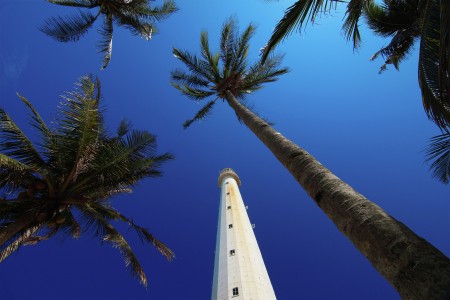 Lighthouse and palm trees