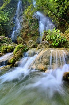 Nature Freshness