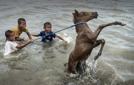 Kids and horse