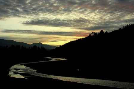 Flows in the dark