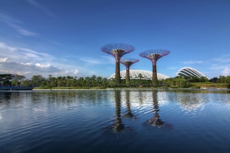 Garden by the bay