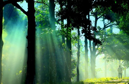 Ray Of Light