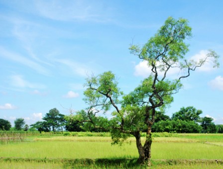 Lonely but not alone