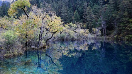 autumn