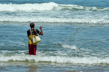 Catch Fish