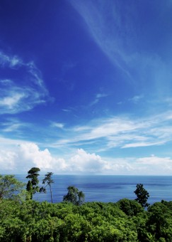 Secret Place at West Papua