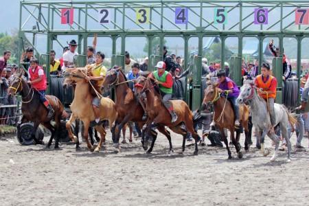 Pacuan Kuda Tradisional