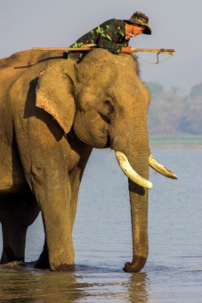 ÄÃ”I Báº N