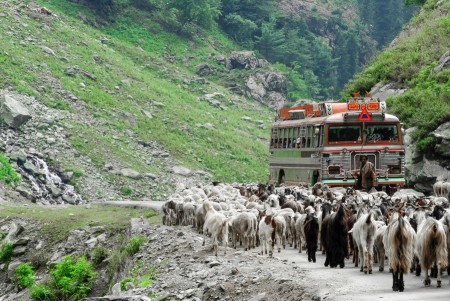 Traffic Jam
