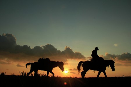 The Cowboy