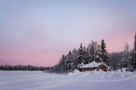 Painted Pink