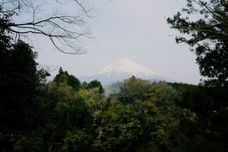 Fujisan
