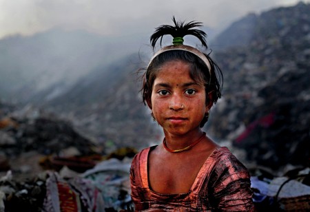 Flower in the Garbage