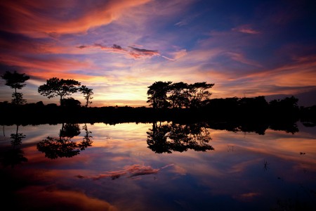 Painted Sky