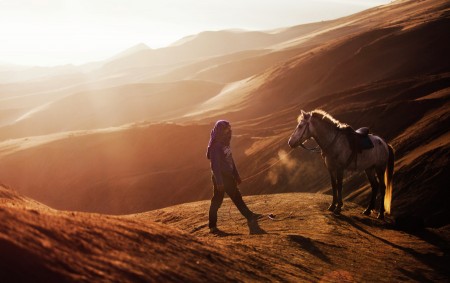 The story of a horseman