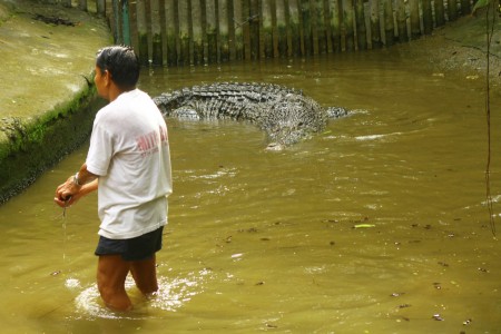 The Croc Pool Cleaning Man