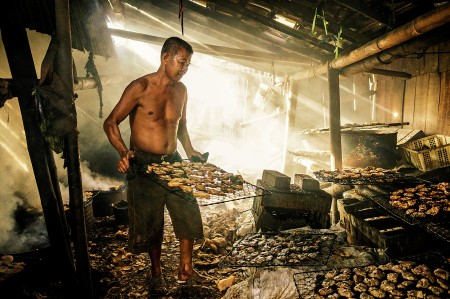 Smoked Fish Processing