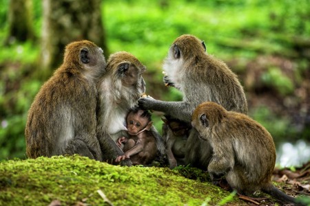 we are family