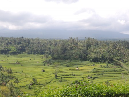 green field