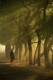 morning mist