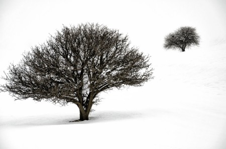 Two retreats tree