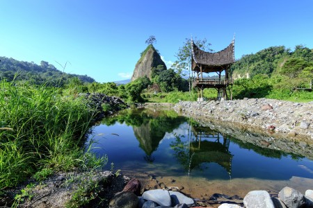 Reflection of Confined Cliff