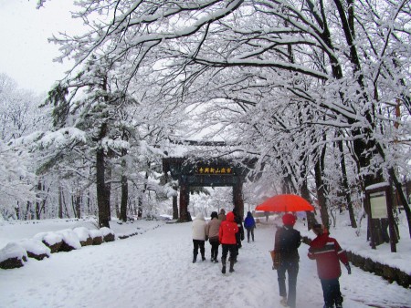 Last Winter in Sinheungsa