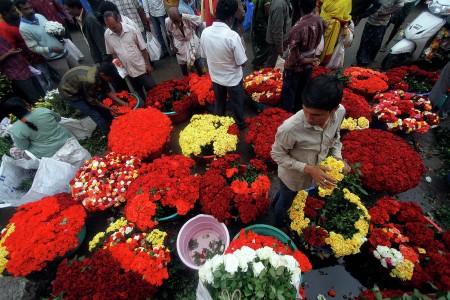 Men And Roses