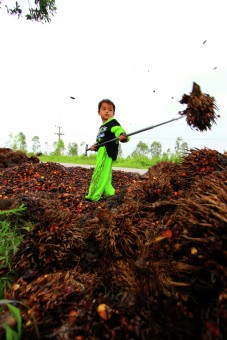 Pekerja Cilik