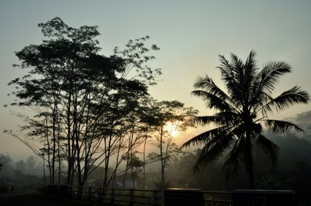 sunrise and fog