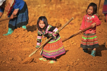BacHa Children