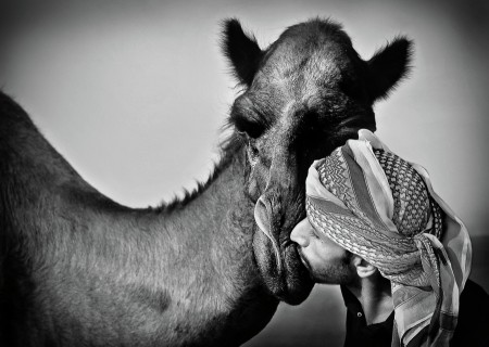 love and care
