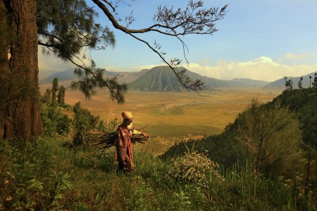 Pencari kayu bakar di Bromo