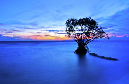Blue of Indonesia (Pulau Tunda)