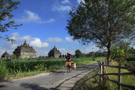 The Harmony Color of Plaosan Temple