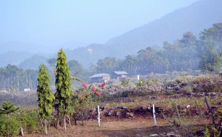 Foggy morning
