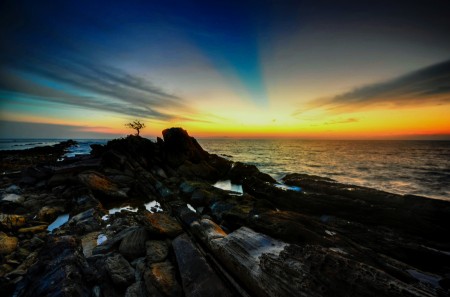 Sunset in alone bonsai